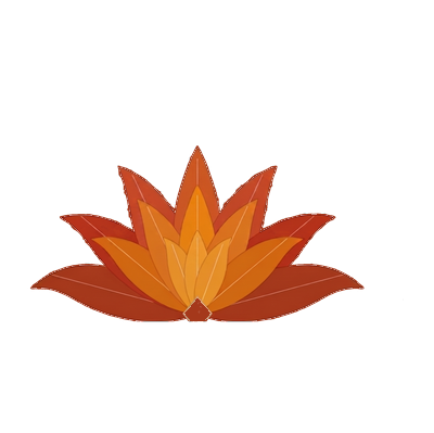 Lotus Flow Health